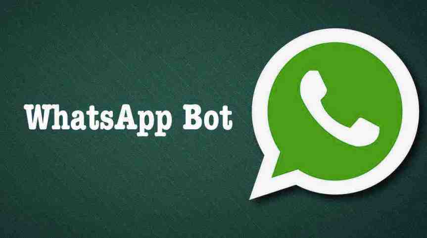 How To Use WhatsApp As A Search Engine | Activate WhatsApp Wikipedia Bot